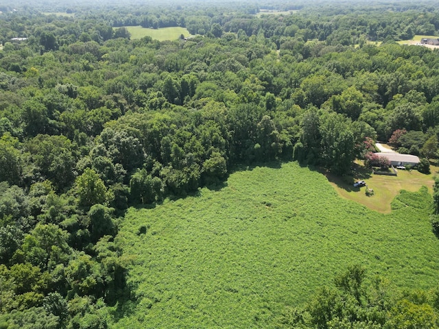 858 Wortham Rd, Atoka, TN 38004 - photo 33