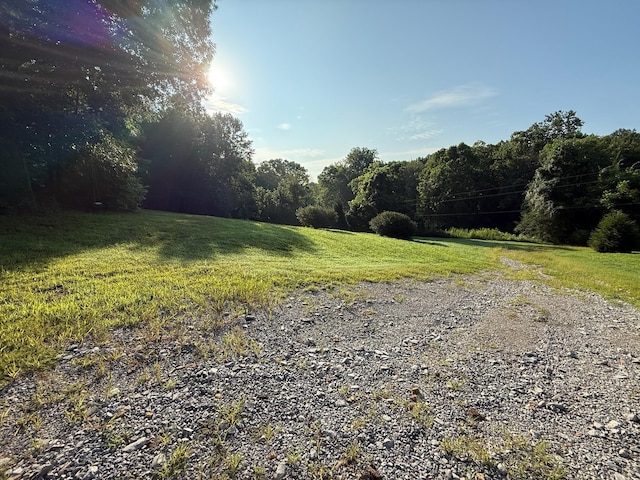 169 N Chisholm Creek Rd, Lawrenceburg, TN 38464 - photo 14