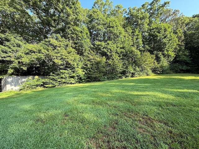 169 N Chisholm Creek Rd, Lawrenceburg, TN 38464 - photo 8