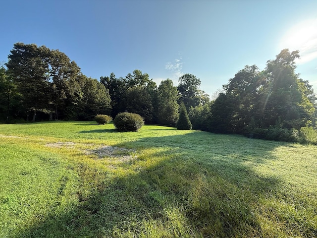 169 N Chisholm Creek Rd, Lawrenceburg, TN 38464 - photo 6