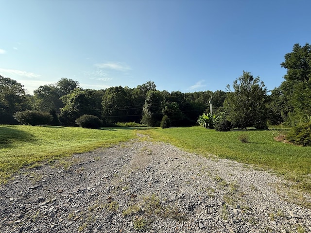 169 N Chisholm Creek Rd, Lawrenceburg, TN 38464 - photo 15