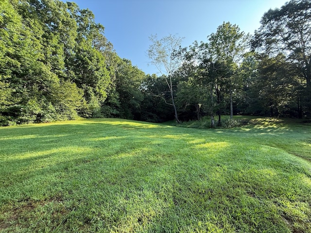 169 N Chisholm Creek Rd, Lawrenceburg, TN 38464 - photo 12