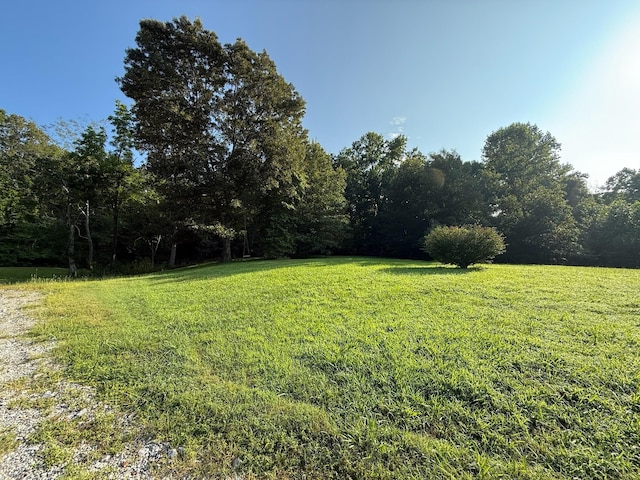 169 N Chisholm Creek Rd, Lawrenceburg, TN 38464 - photo 10