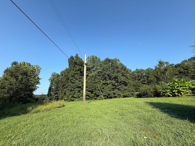 169 N Chisholm Creek Rd, Lawrenceburg, TN 38464 - photo 11