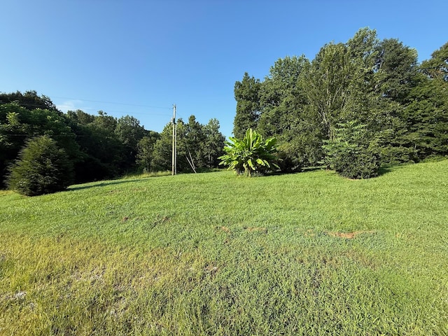 169 N Chisholm Creek Rd, Lawrenceburg, TN 38464 - photo 9