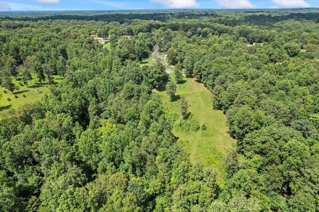 1748 Bandy Rd, Ashland City, TN 37015 - photo 37