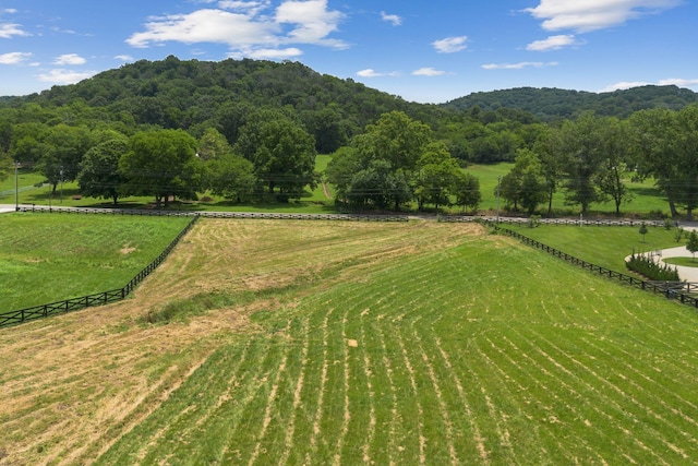 4520 Harpeth School Rd, Franklin, TN 37064 - photo 2