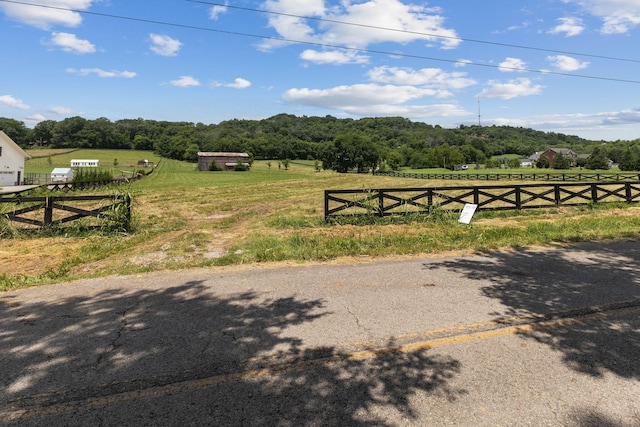 4520 Harpeth School Rd, Franklin, TN 37064 - photo 16