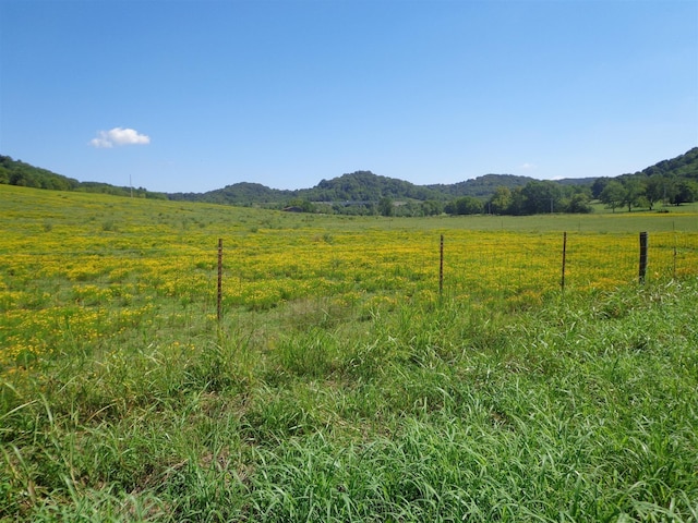 4520 Harpeth School Rd, Franklin, TN 37064 - photo 28