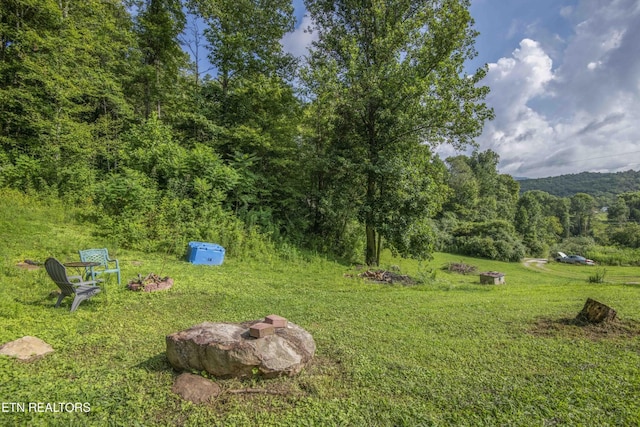 180 Grady Langley Rd, Lancing, TN 37770 - photo 50