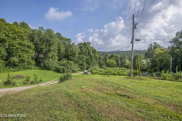 180 Grady Langley Rd, Lancing, TN 37770 - photo 52