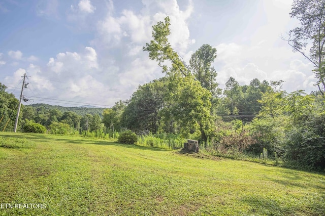 180 Grady Langley Rd, Lancing, TN 37770 - photo 48