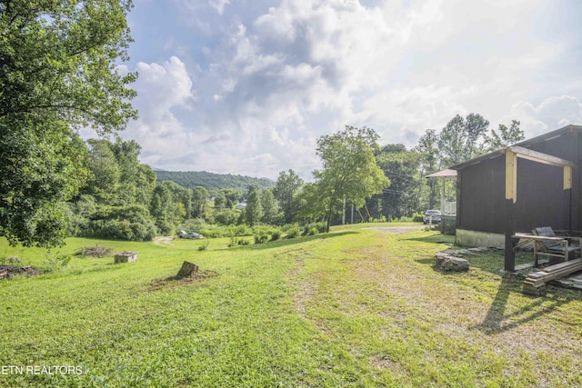 180 Grady Langley Rd, Lancing, TN 37770 - photo 51