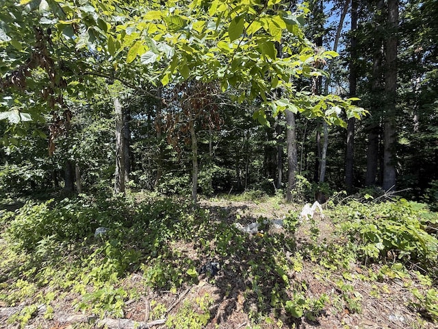 0 Trailwood Ct, Joelton, TN 37080 - photo 1