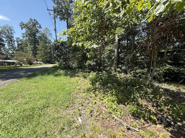 0 Trailwood Ct, Joelton, TN 37080 - photo 2