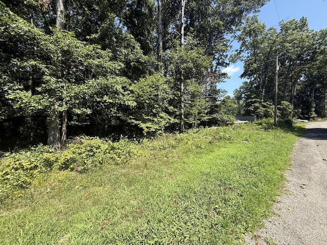 0 Trailwood Ct, Joelton, TN 37080 - photo 6