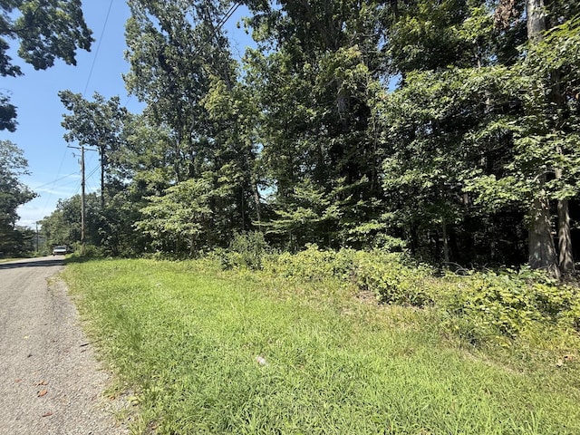 0 Trailwood Ct, Joelton, TN 37080 - photo 5