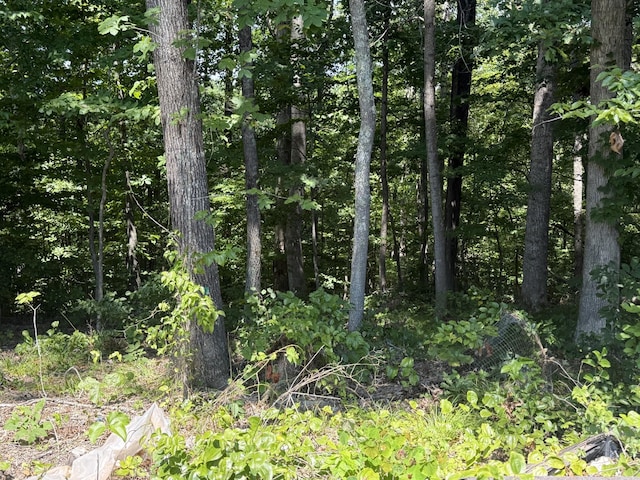 0 Trailwood Ct, Joelton, TN 37080 - photo 4