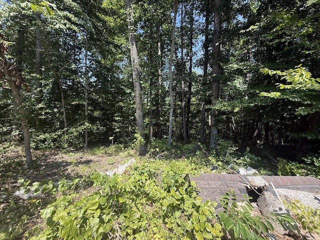 0 Trailwood Ct, Joelton, TN 37080 - photo 3