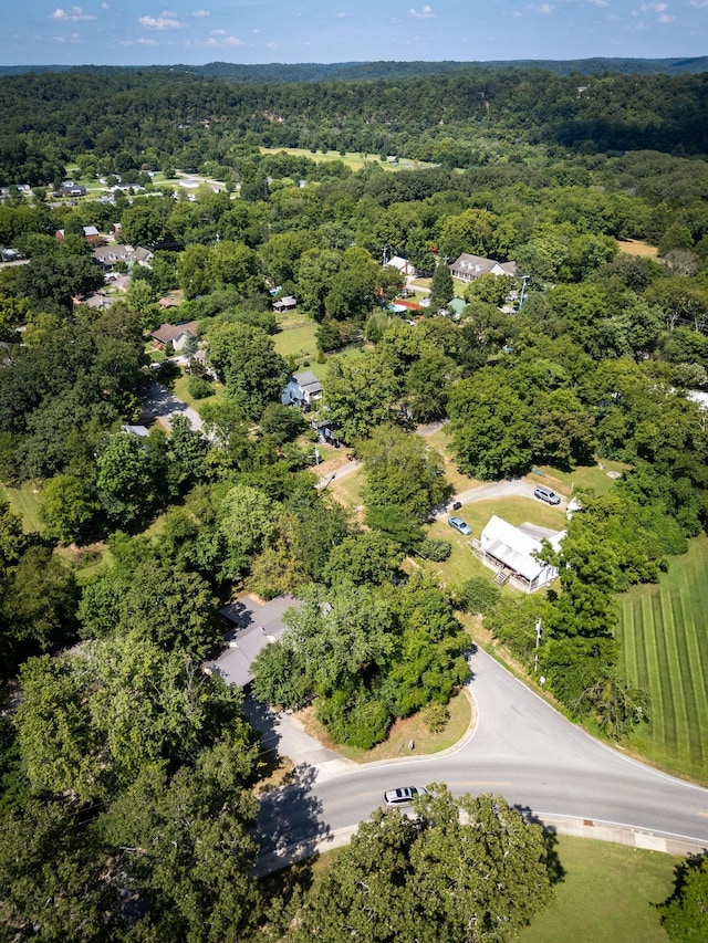 313 W Kingston Springs Rd, Kingston Springs, TN 37082 - photo 38