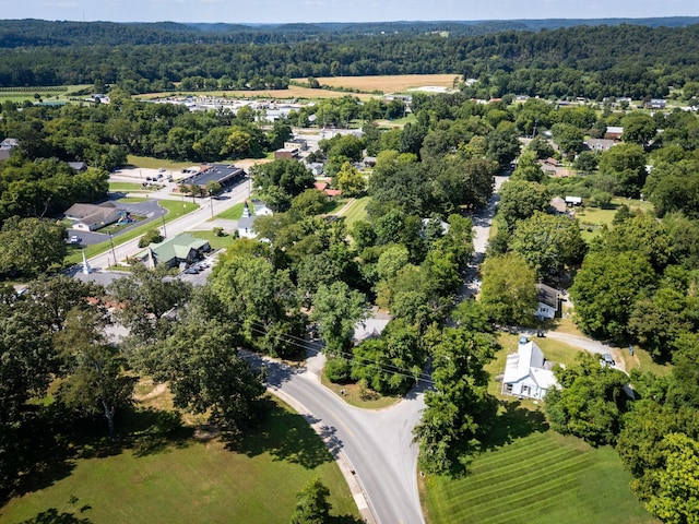 313 W Kingston Springs Rd, Kingston Springs, TN 37082 - photo 36