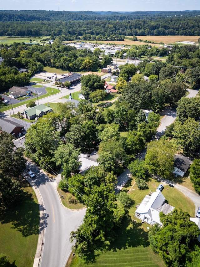 313 W Kingston Springs Rd, Kingston Springs, TN 37082 - photo 35