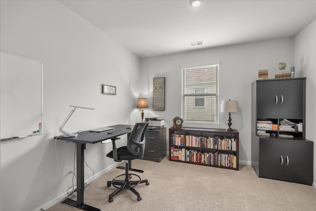 1407 Marigold Dr, Spring Hill, TN 37174 - photo 13