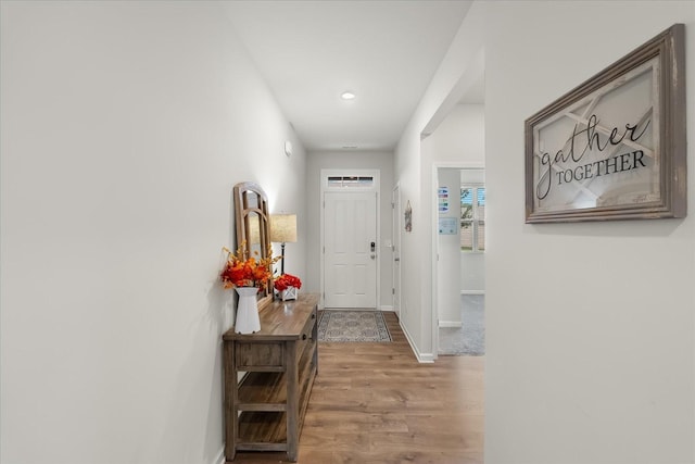 1407 Marigold Dr, Spring Hill, TN 37174 - photo 5