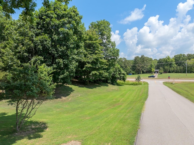 78 Joy Ln, Lexington, TN 38351 - photo 8