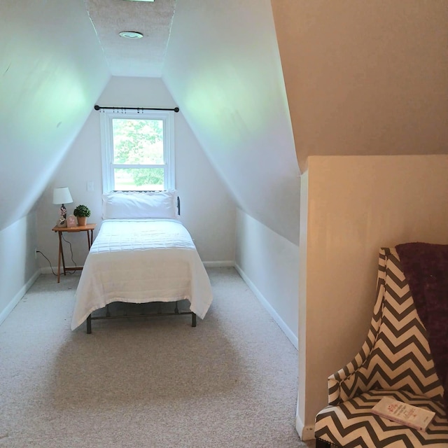 4060 Caney Creek Ln, Chapel Hill, TN 37034 - photo 28