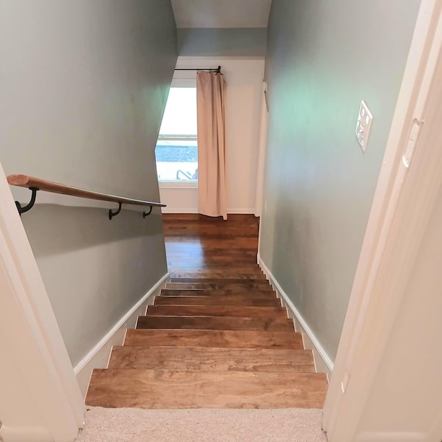 4060 Caney Creek Ln, Chapel Hill, TN 37034 - photo 23