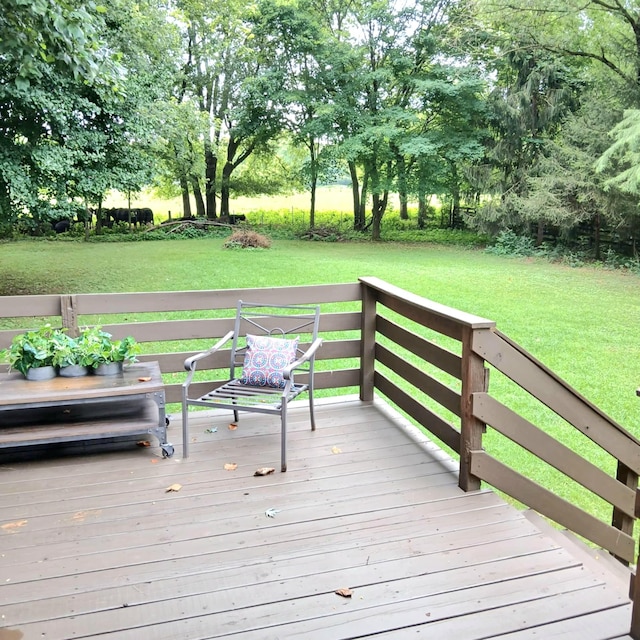 4060 Caney Creek Ln, Chapel Hill, TN 37034 - photo 13