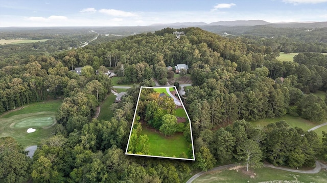 353 Golf View Dr, Cohutta, GA 30710 - photo 6