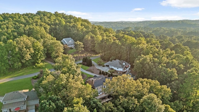 353 Golf View Dr, Cohutta, GA 30710 - photo 86