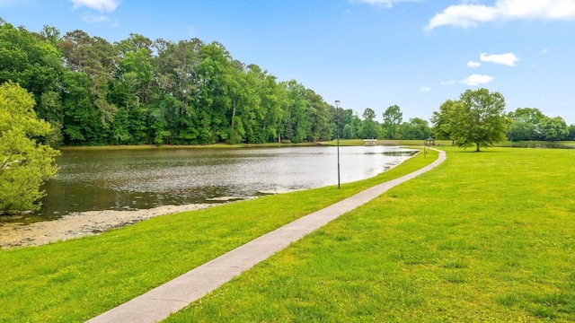 353 Golf View Dr, Cohutta, GA 30710 - photo 72