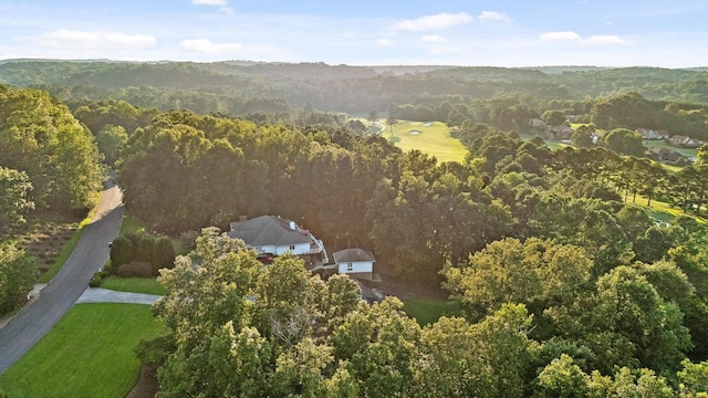 353 Golf View Dr, Cohutta, GA 30710 - photo 85