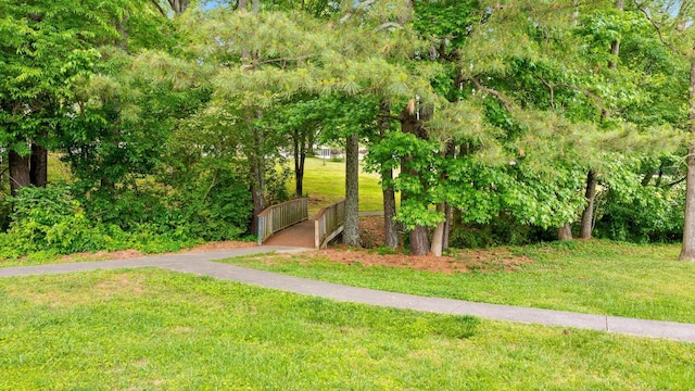353 Golf View Dr, Cohutta, GA 30710 - photo 71
