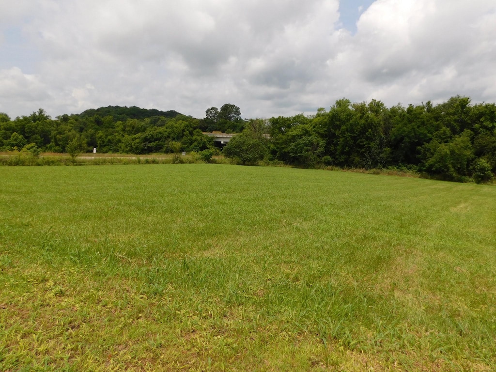 1694 Blue Moon Rd, Columbia, TN 38401 - photo 3