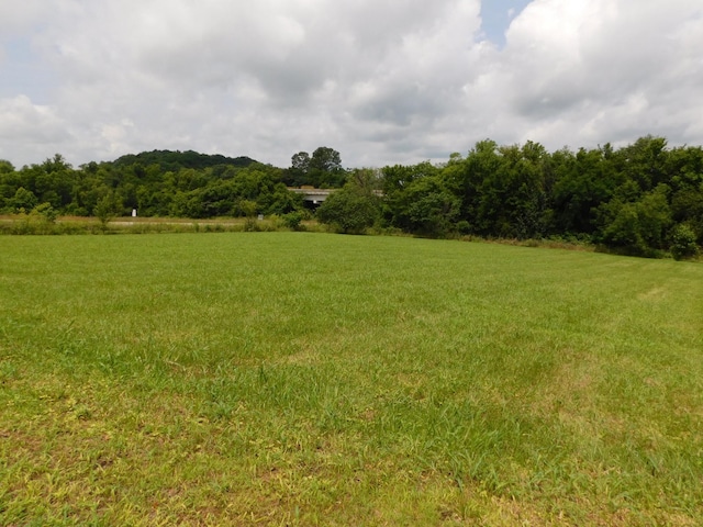 1694 Blue Moon Rd, Columbia, TN 38401 - photo 3