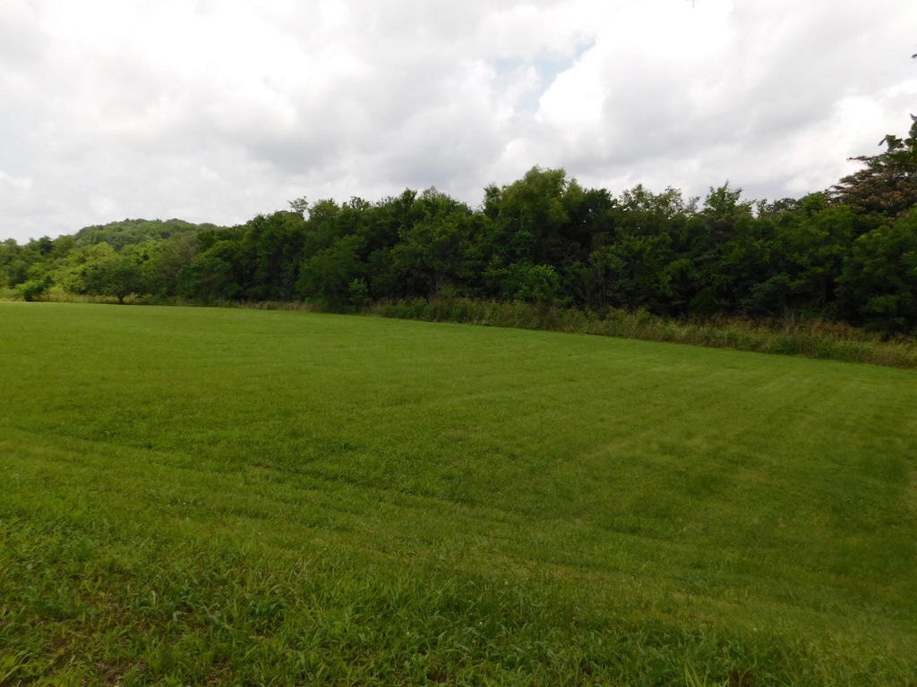 1694 Blue Moon Rd, Columbia, TN 38401 - photo 1