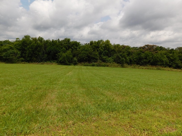 1694 Blue Moon Rd, Columbia, TN 38401 - photo 2