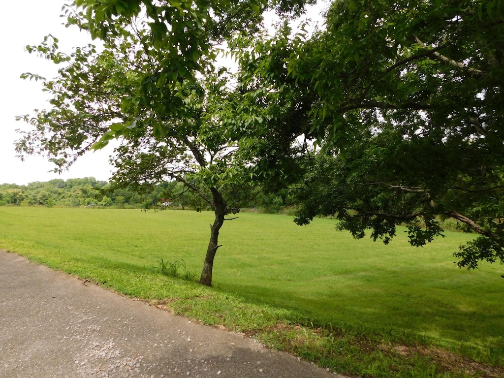1694 Blue Moon Rd, Columbia, TN 38401 - photo 4