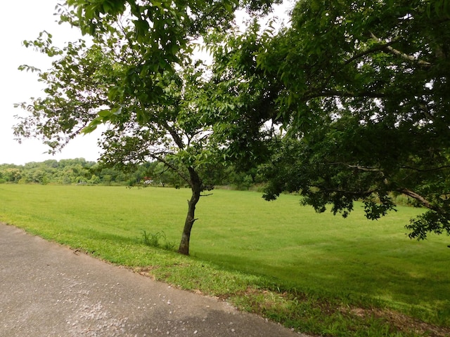 1694 Blue Moon Rd, Columbia, TN 38401 - photo 4