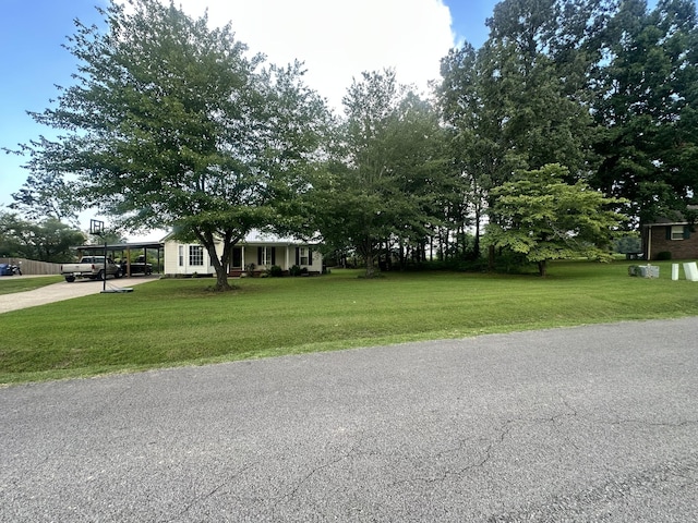 110 E Laurel Dr, Lawrenceburg, TN 38464 - photo 19