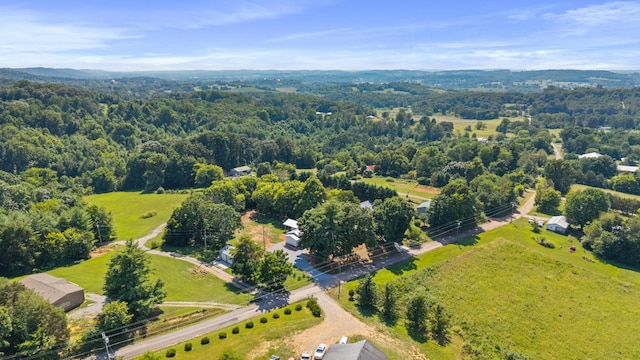 224 Red Pond Rd, Sweetwater, TN 37874 - photo 28
