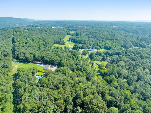 9003 W Old Lovelady Rd, Hixson, TN 37343 - photo 17