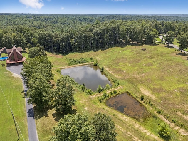 121 High Forest Dr, Hampshire, TN 38461 - photo 60