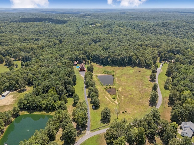 121 High Forest Dr, Hampshire, TN 38461 - photo 67