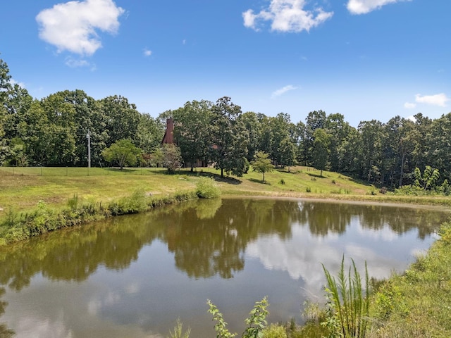 121 High Forest Dr, Hampshire, TN 38461 - photo 69