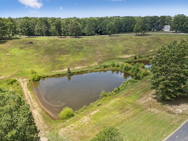 121 High Forest Dr, Hampshire, TN 38461 - photo 52